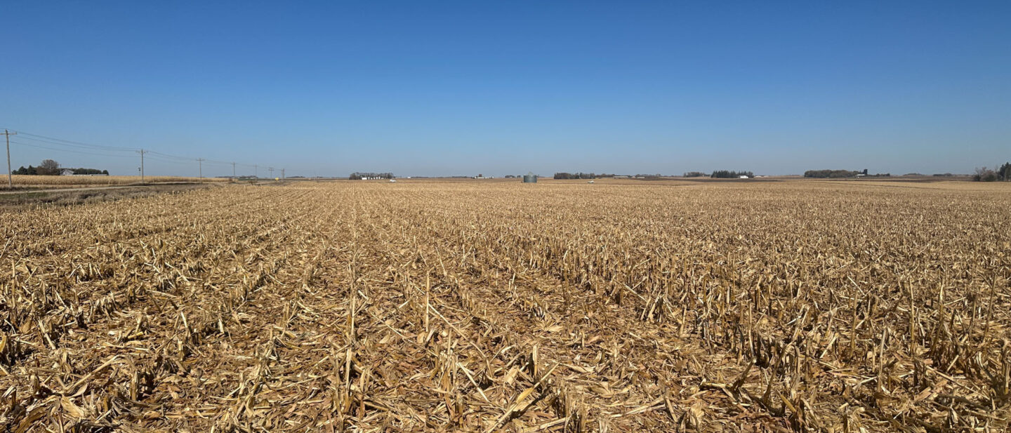 Tract 2 North view of Farm