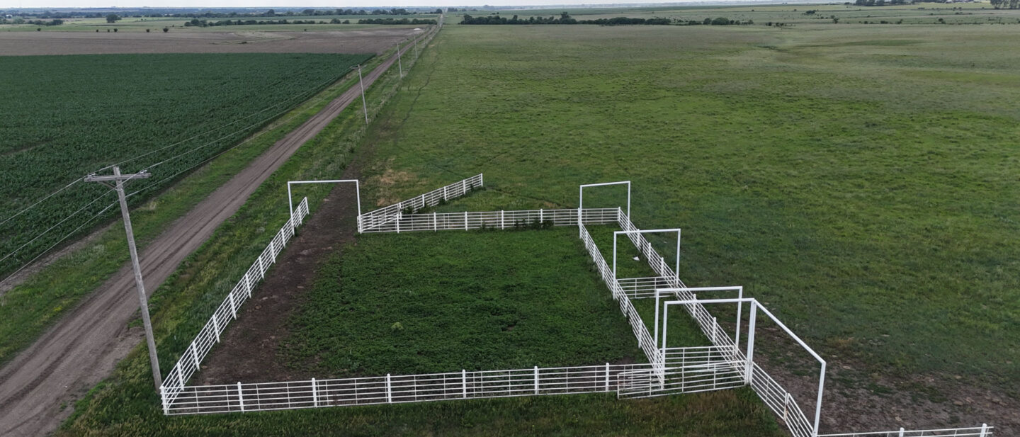 Tract 2 corrals