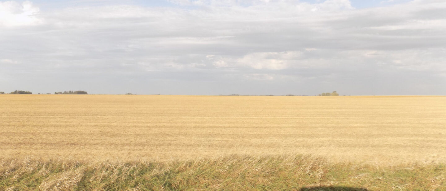 Tract 2 cropland 1