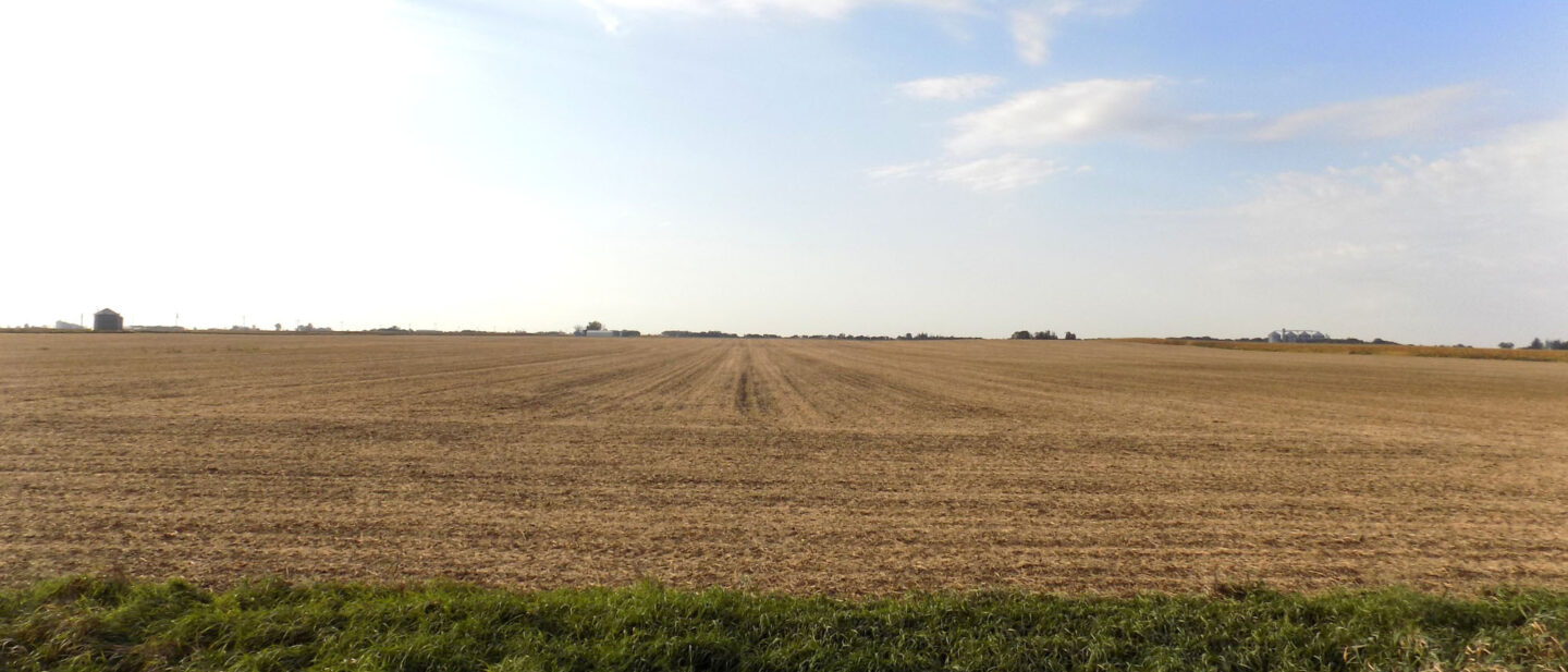 Tract 2 cropland 2