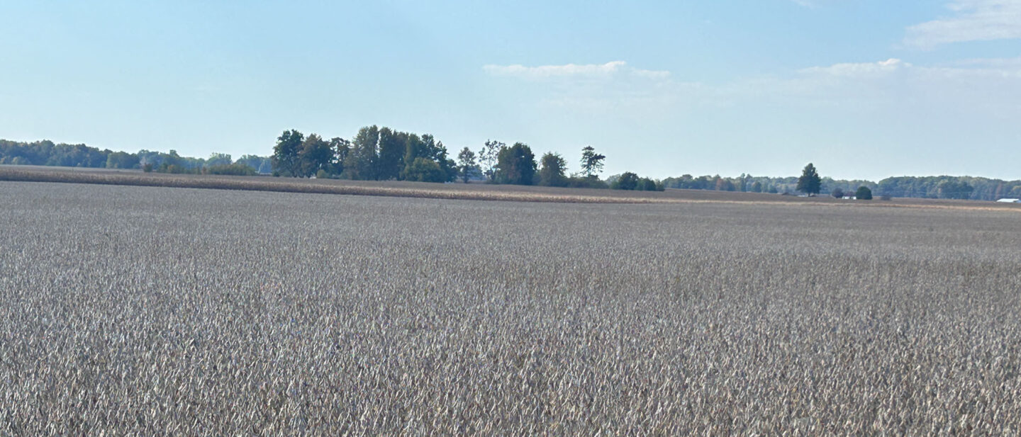 Tract 2 field