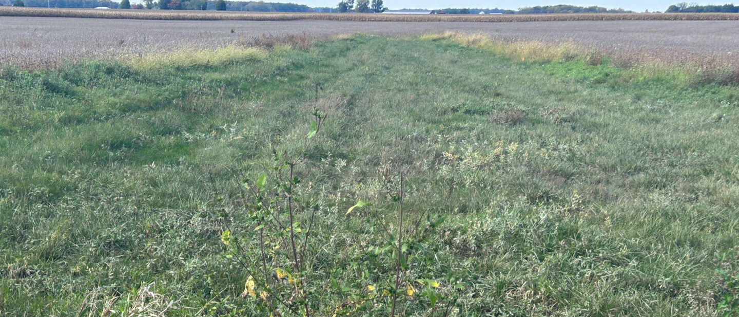 Tract 2 waterway