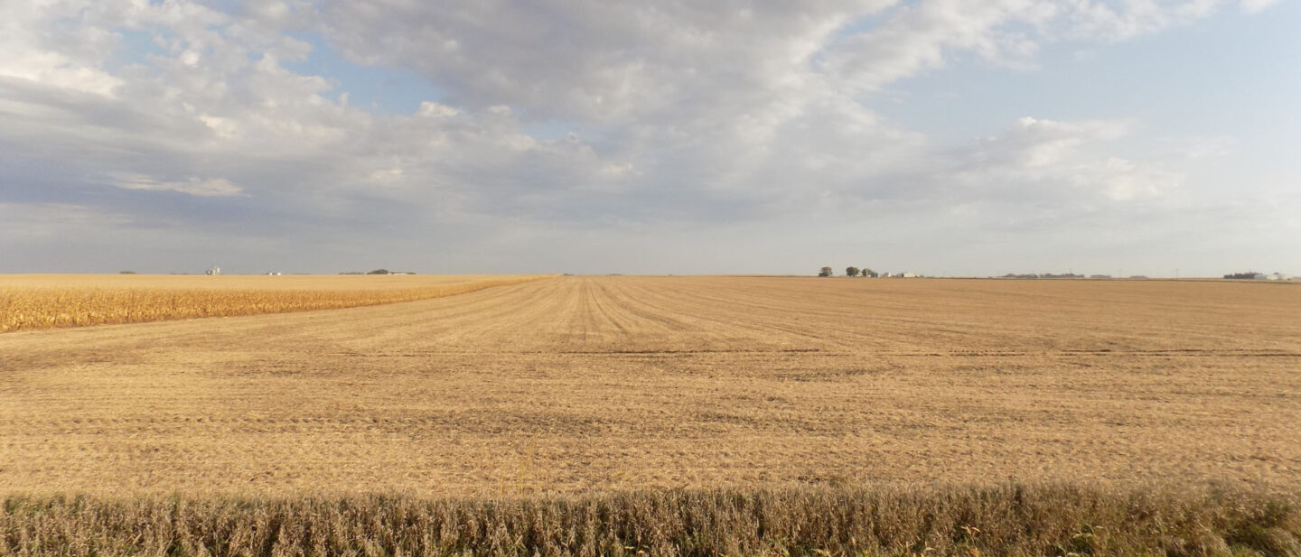 Tract 3 cropland 1