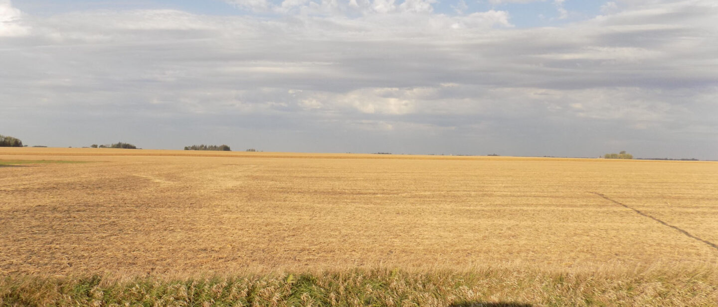 Tract 3 cropland 2