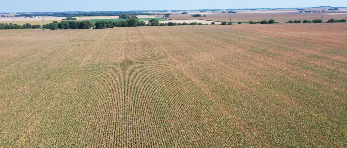 Tract 3 looking east