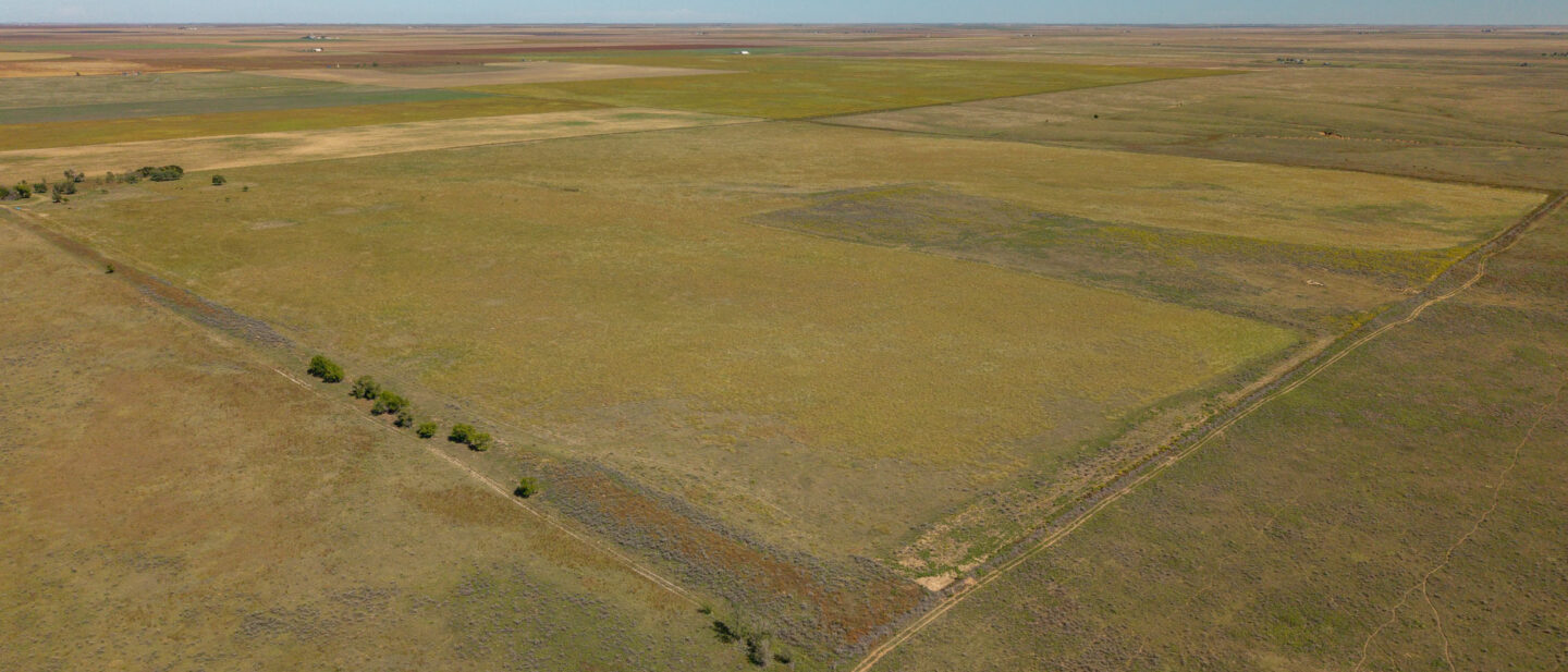 Tract 4 Cole Owens 160 acres Texas County NE