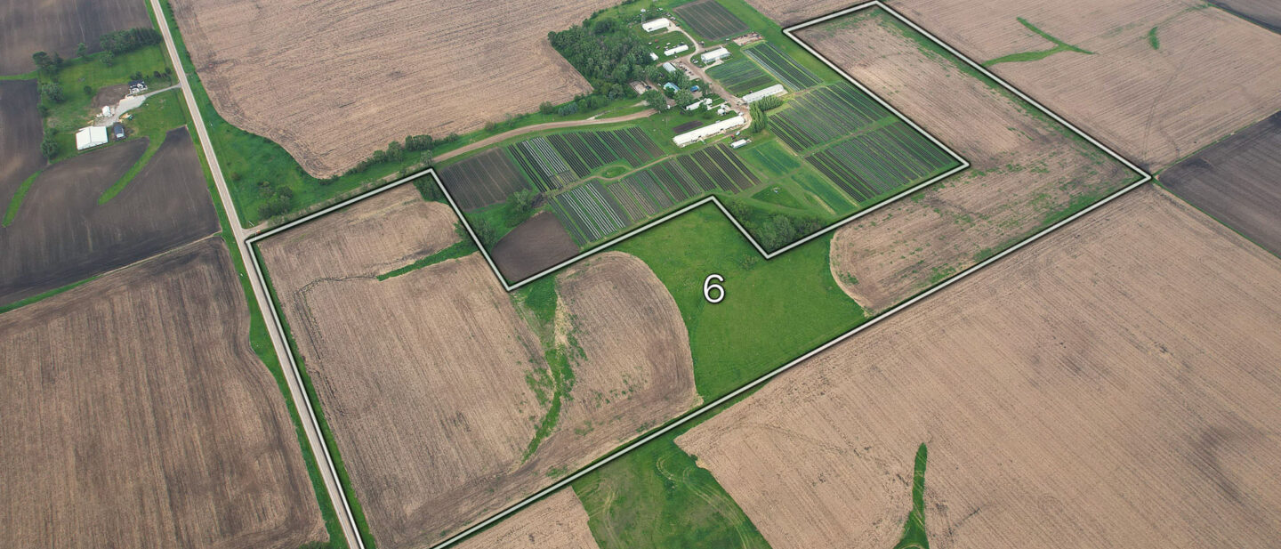 Tract 6 Spring