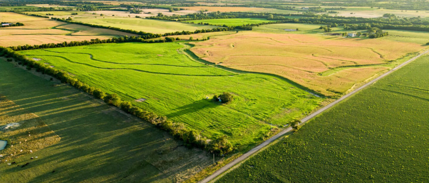 Van Schmidt Marion County 132 acres angle