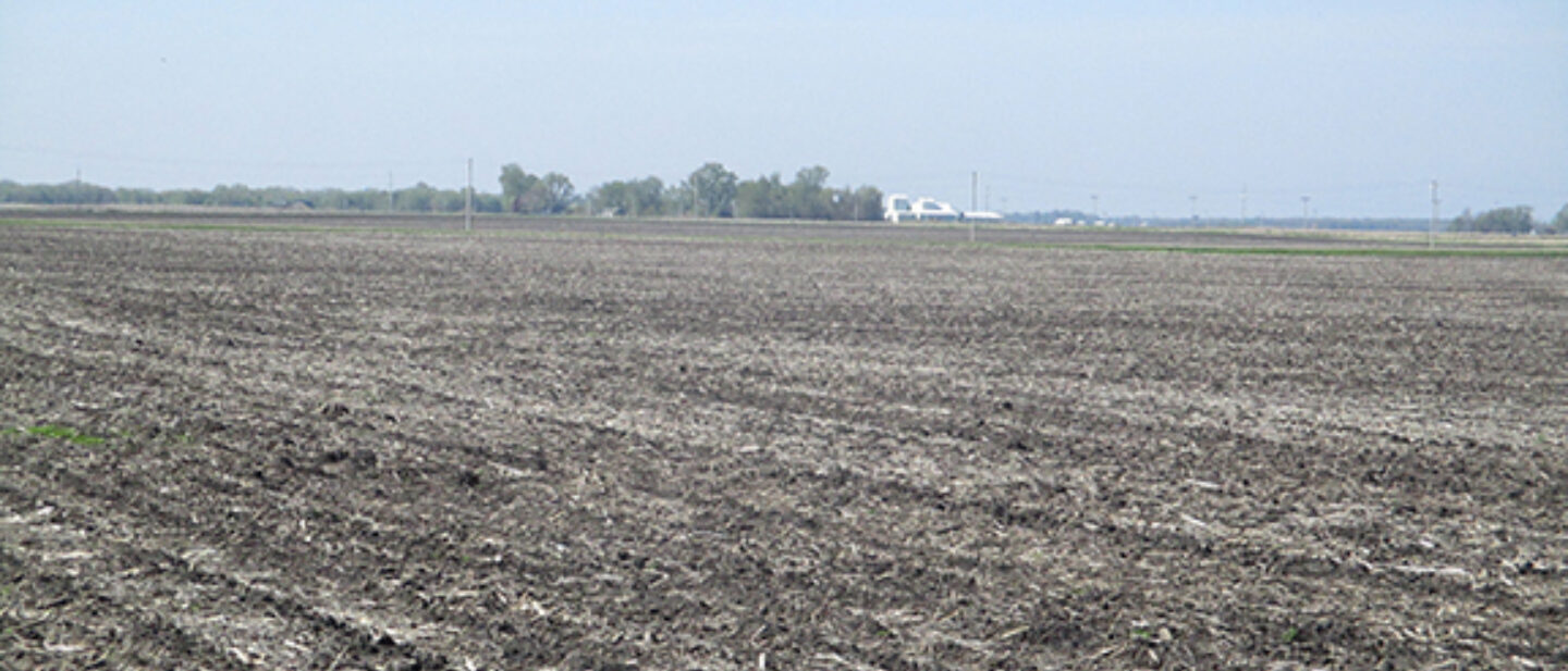 View from the Northeast corner to South Southwest bean stubble