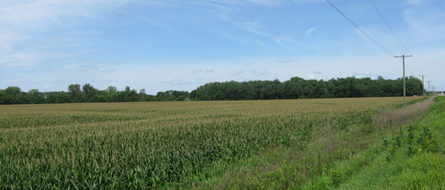 View north Tract 1