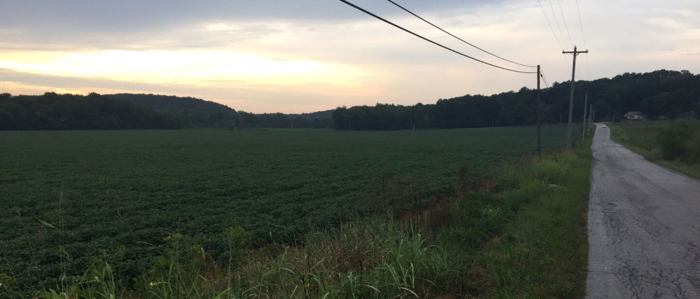 View north along east side