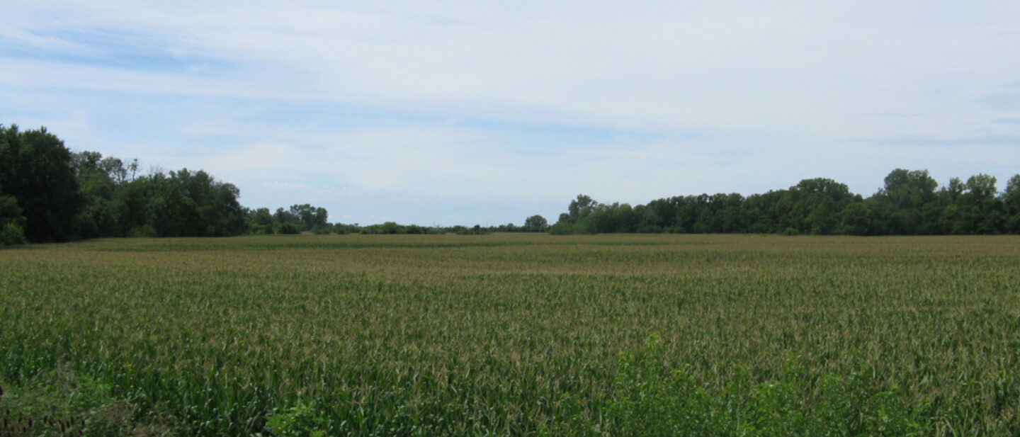 View northeast of tract 2