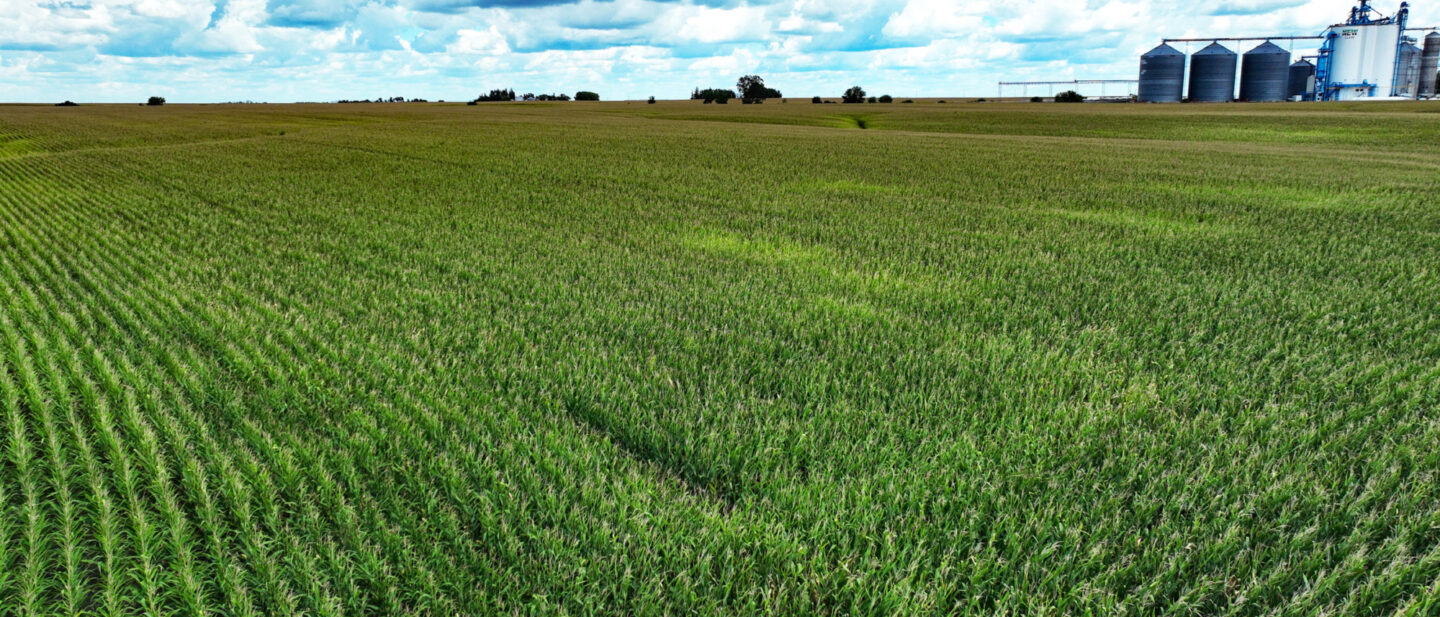 Webster Co Iowa 2 Cropland L2400514