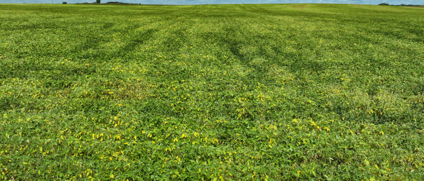 Webster Co Iowa 3 cropland CRP L2400513