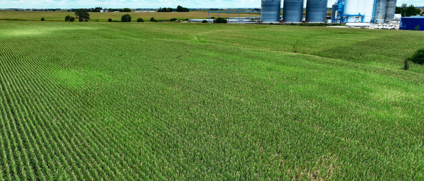 Webster Co Iowa 6 cropland L2400514