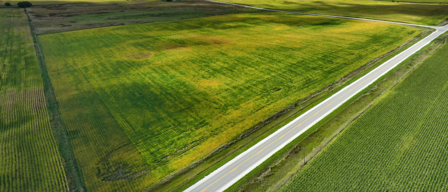 Webster co Iowa 5 Cropland CRP L2400513