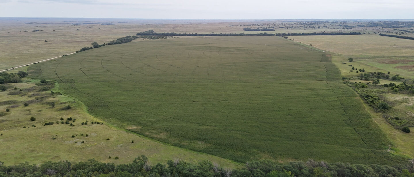 Whole farm
