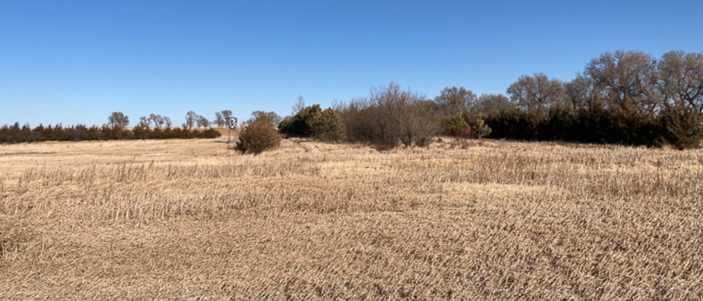 Wildlife Habitat North of Acreage