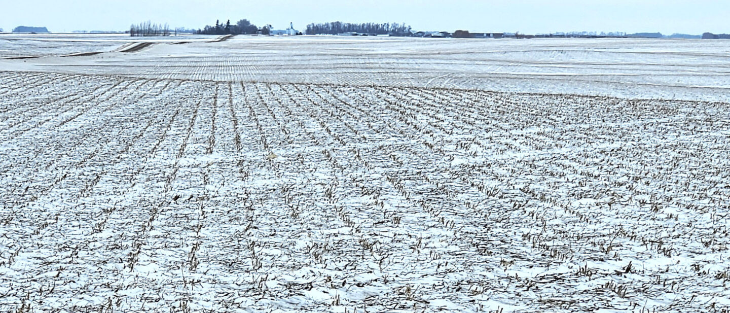 Windloss Tract 2 randy