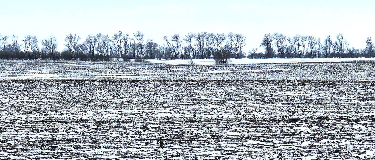 Windloss Tract 3 dave