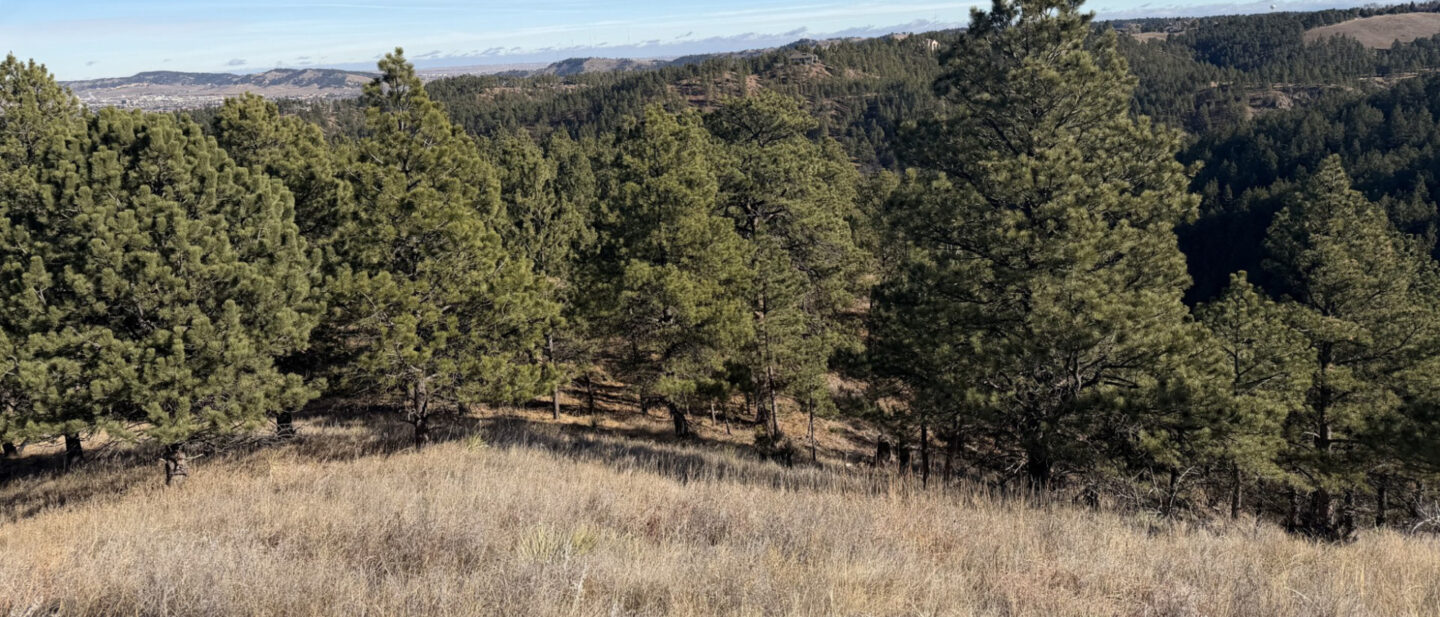 A1179a09 3557 4f8a a7b0 3d805b891c75