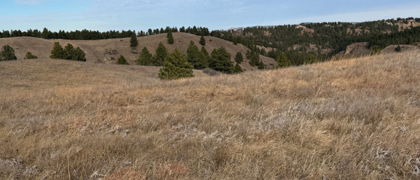 Af1dbfd3 44ed 4b89 9aaa 4f0028f6c055