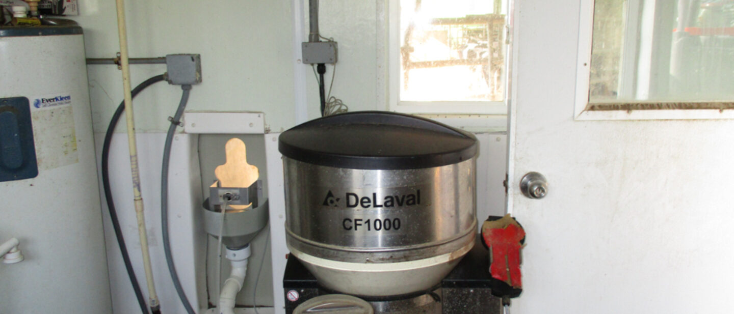 Auto calf feeder