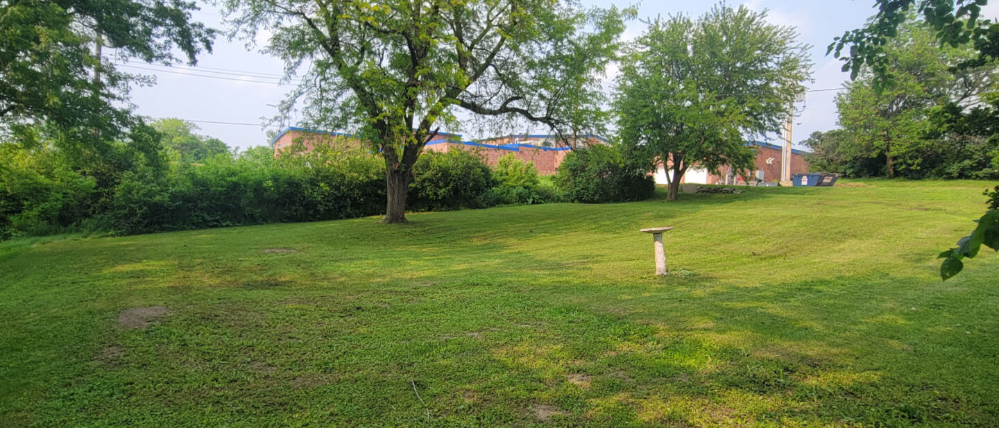 Backyard