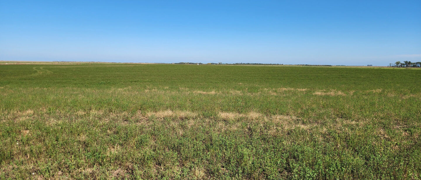 Bc tract 1 crop