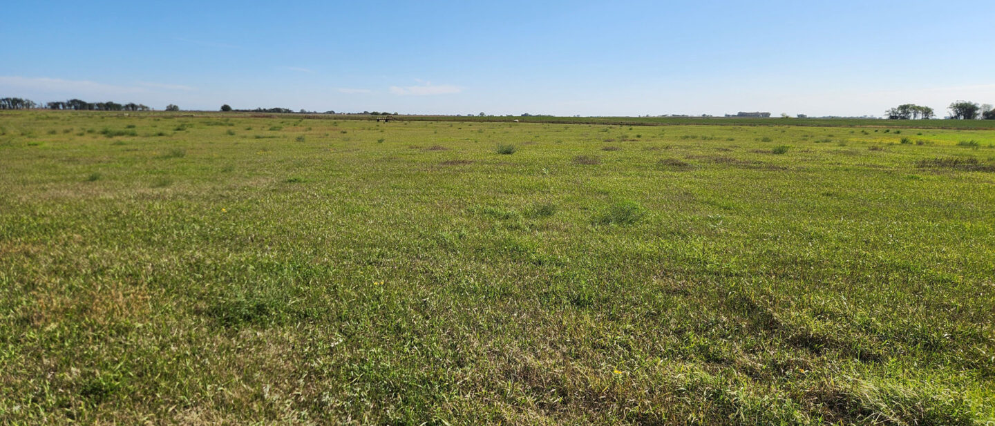 Bc tract 1 grass