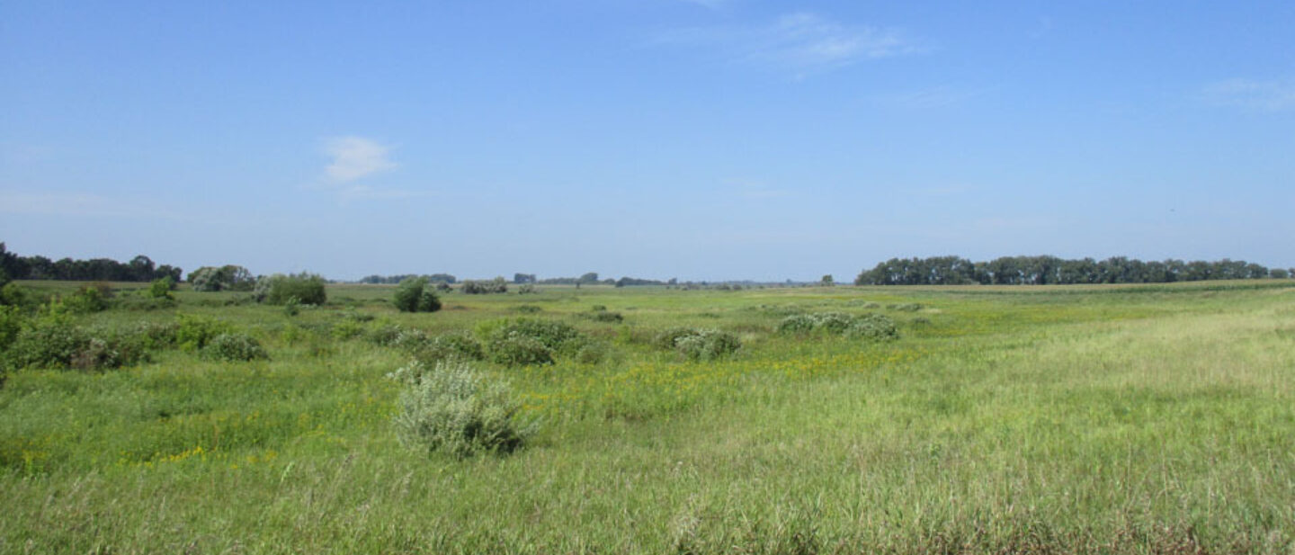 Coulee in middle of fields 1