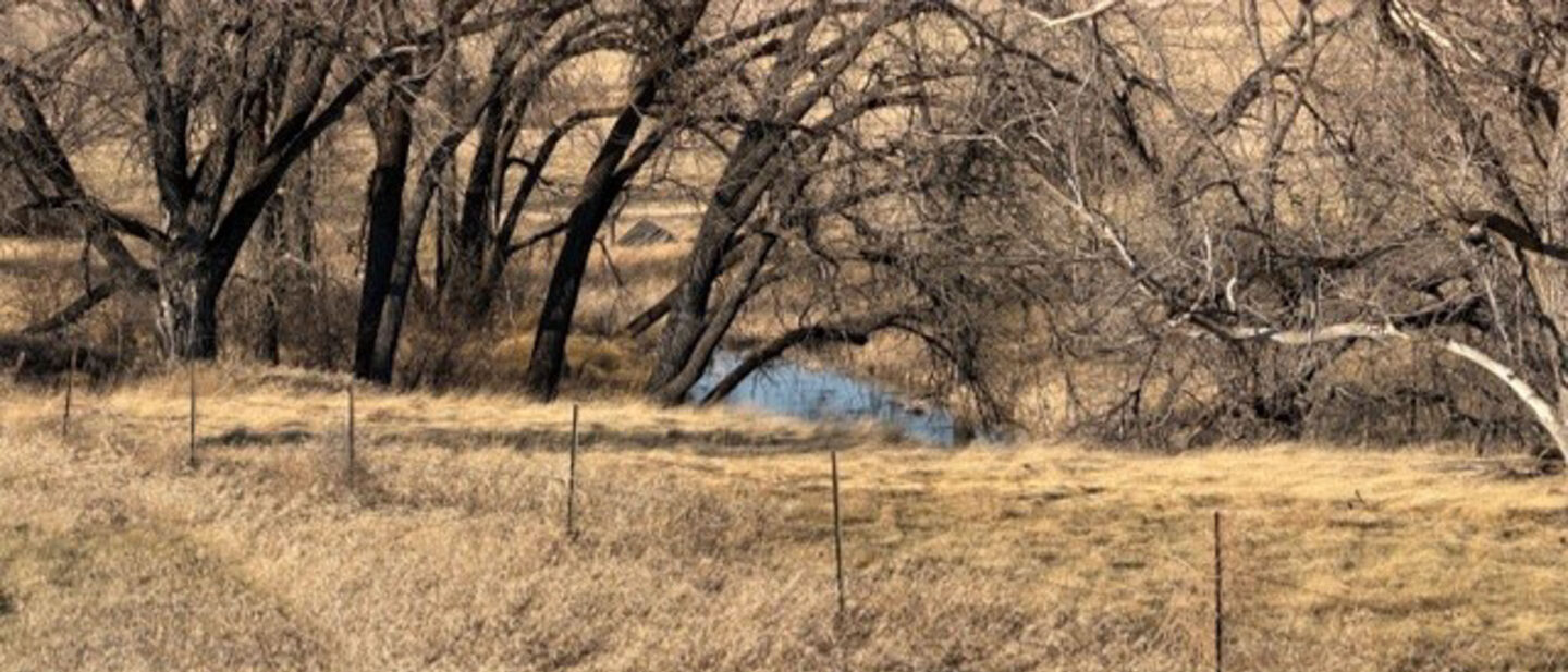 D38361ad 35f3 4c1e 8240 a094c3b25409