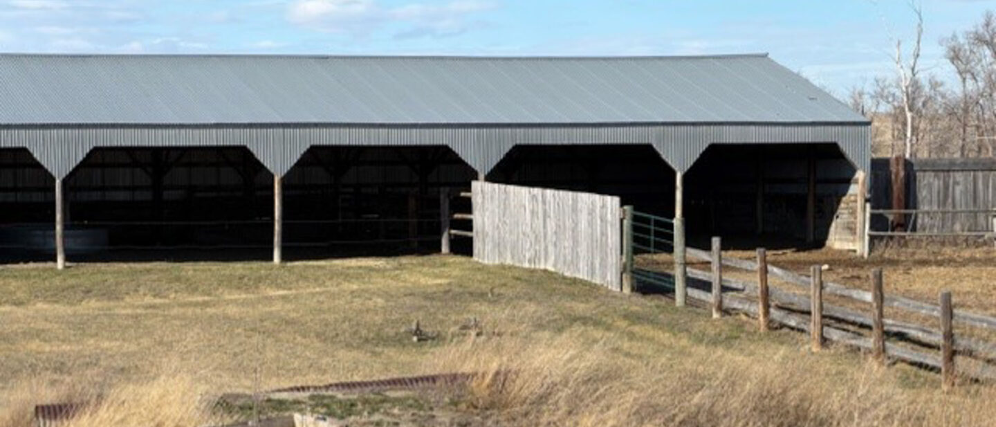 Daf26b1f d7b9 4b1a 96cf c0e169ec0c55