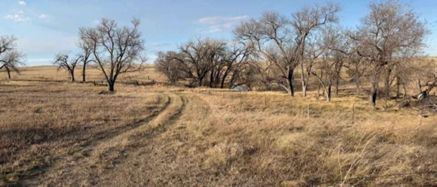 Dff9a8a5 038d 4d69 9c56 e19a2f30b693 1