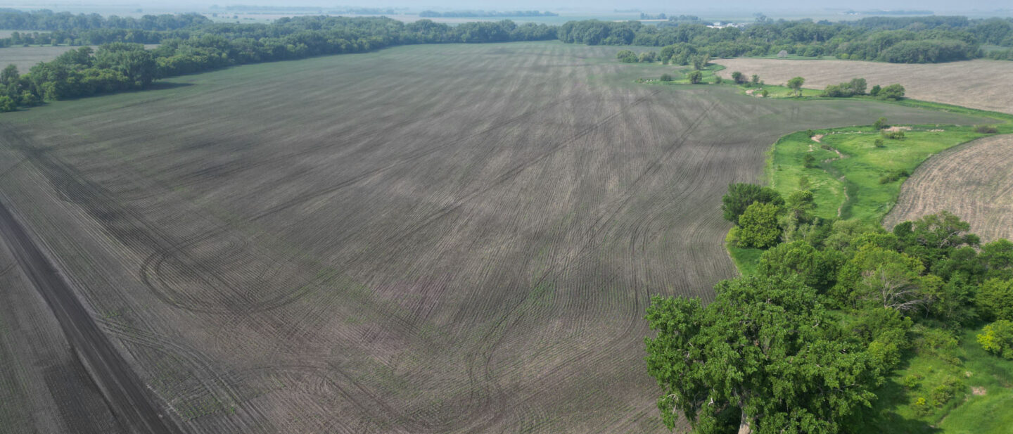 Dji fly 20250610 094438 69 1749568662828 photo