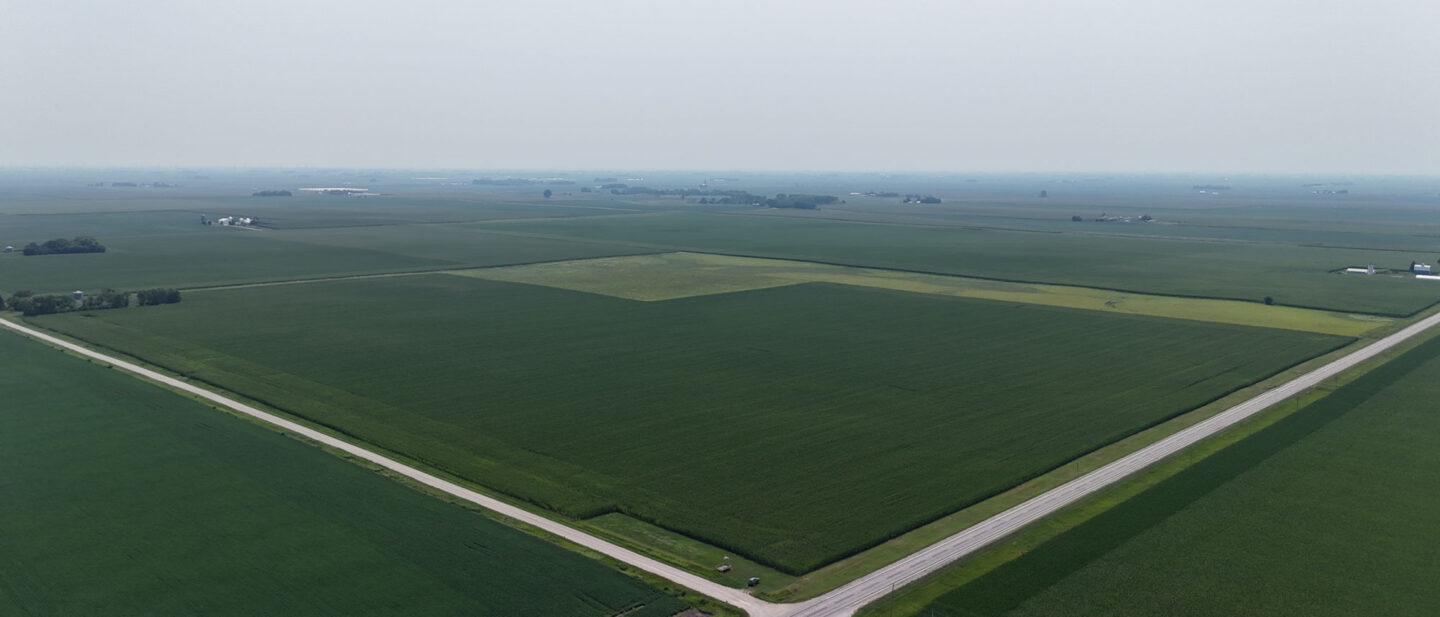 Dji fly 20260727 151034 0045 1785183734282 photo