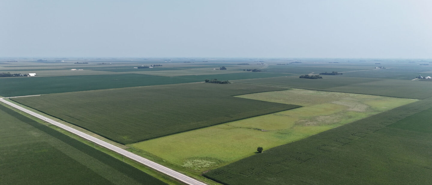 Dji fly 20260727 151256 0047 1785183733849 photo