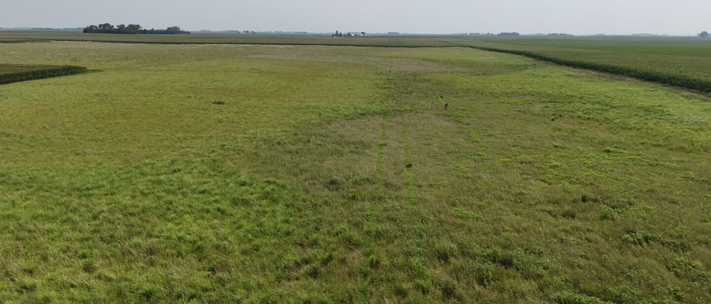 Dji fly 20260727 151404 0050 1785183733244 photo