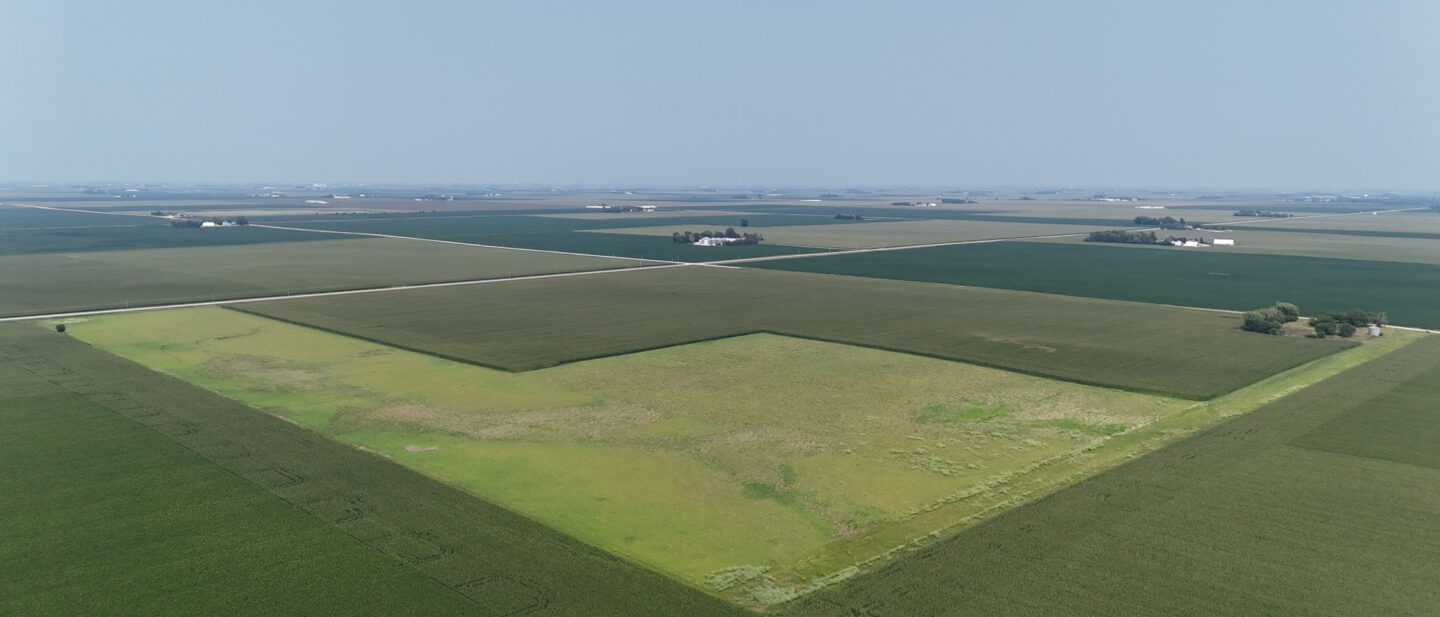 Dji fly 20260727 151524 0052 1785183732643 photo