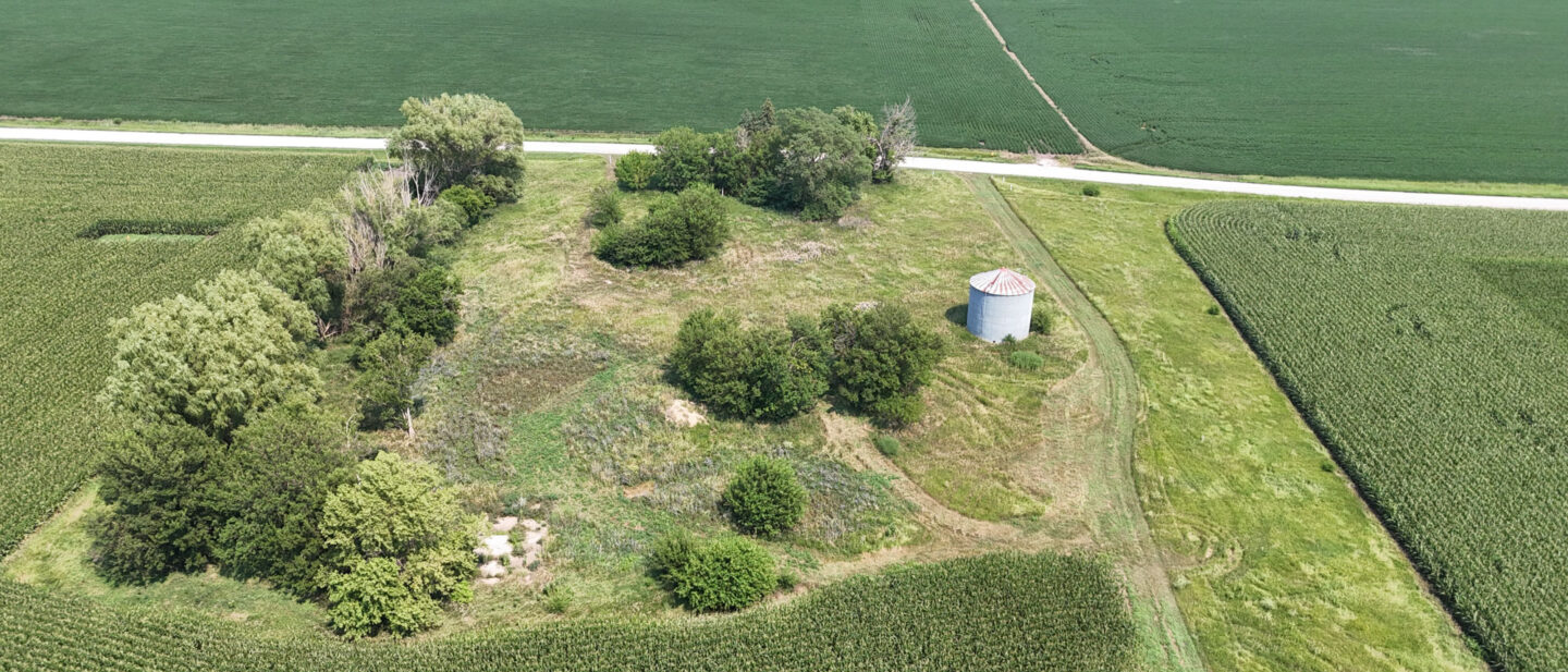 Dji fly 20260727 151654 0056 1785183731714 photo