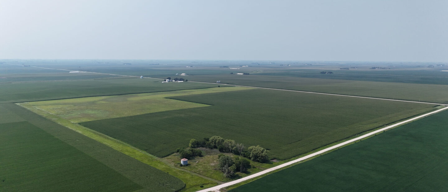 Dji fly 20260727 151804 0058 1785183731037 photo