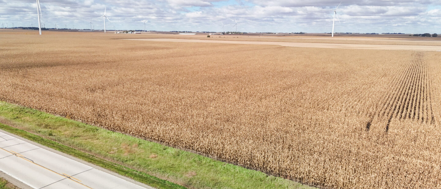 Dji fly 20261016 140426 0138 1792177572002 photo