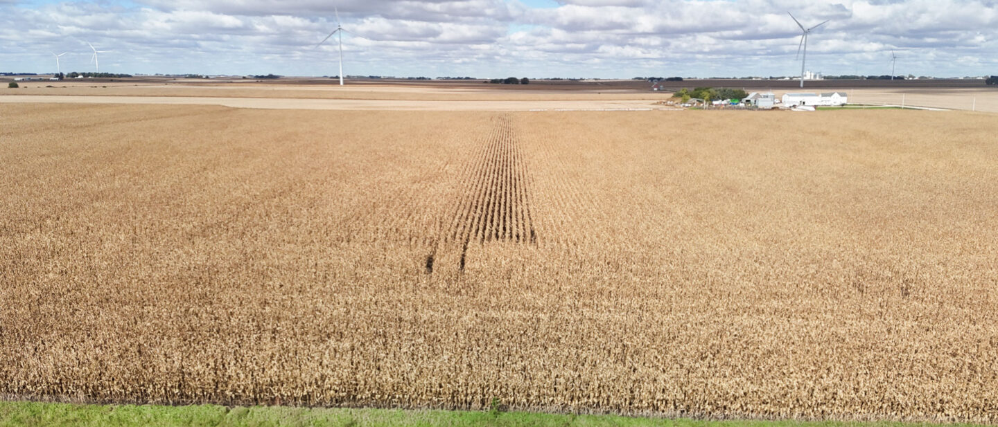 Dji fly 20261016 140432 0140 1792177570651 photo