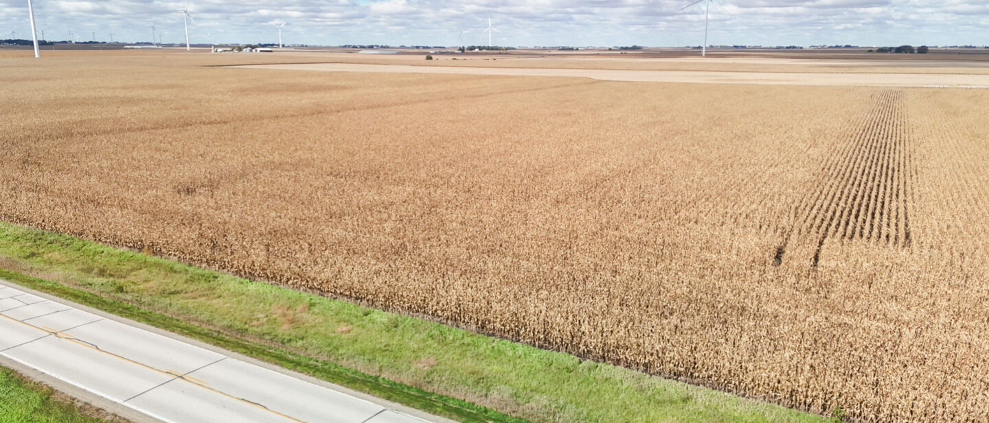 Dji fly 20261016 140440 0143 1792177568473 photo