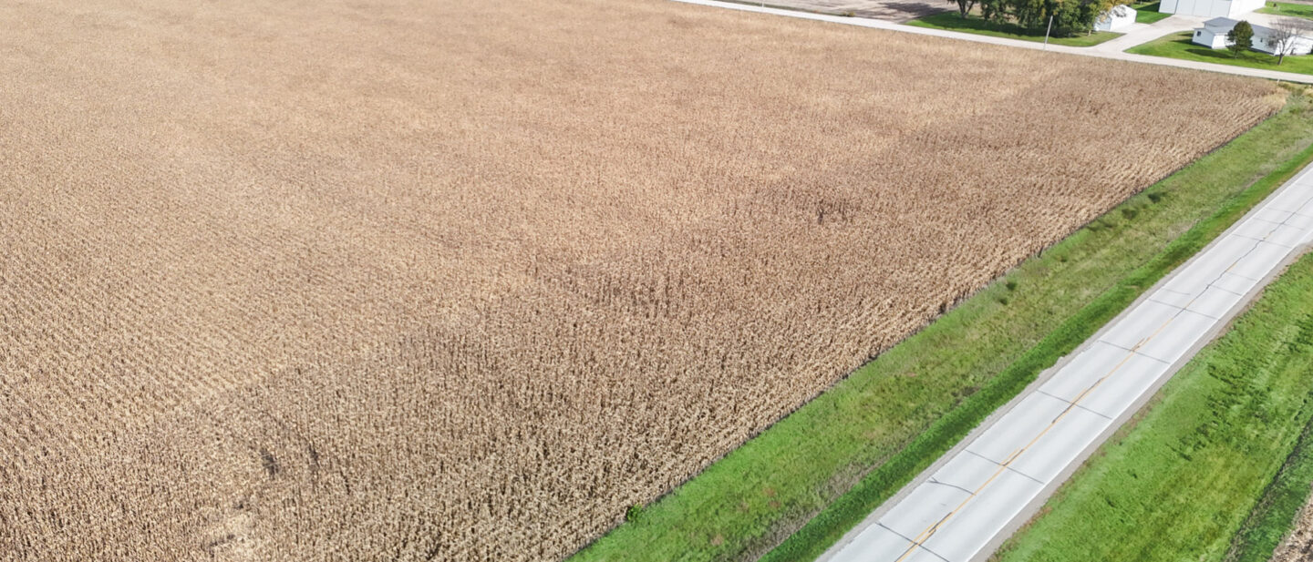 Dji fly 20261016 140448 0145 1792177566934 photo