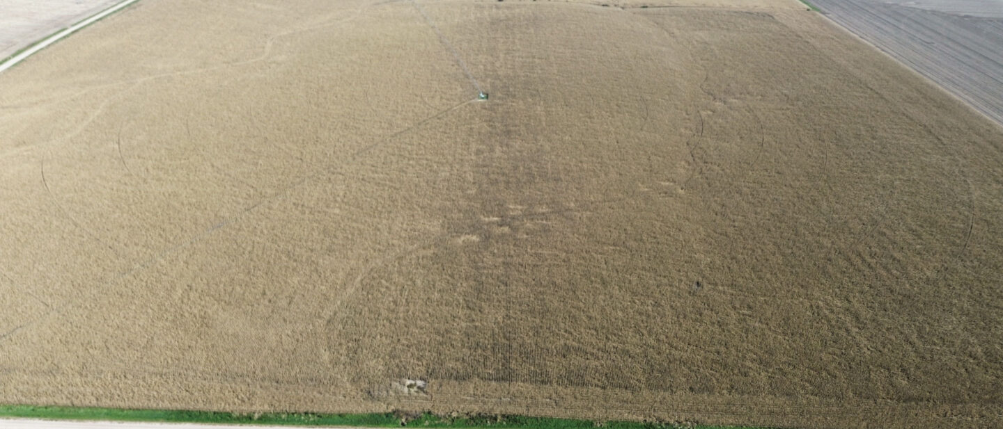 Dji fly 20261019 145342 748 1792439632675 photo optimized