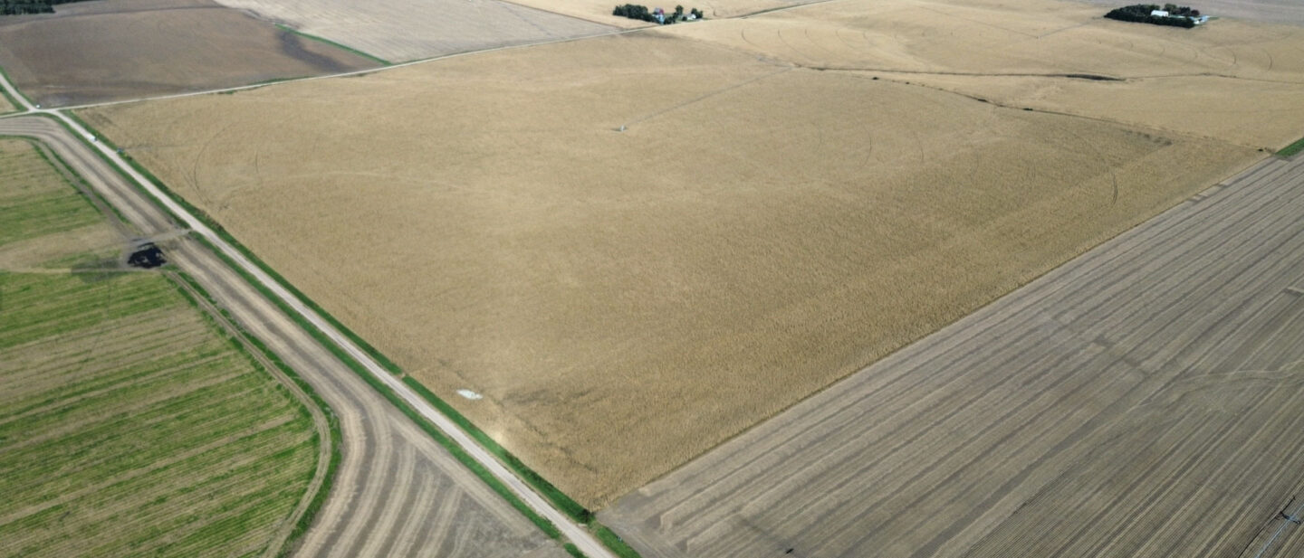 Dji fly 20261019 145530 749 1792439739120 photo optimized