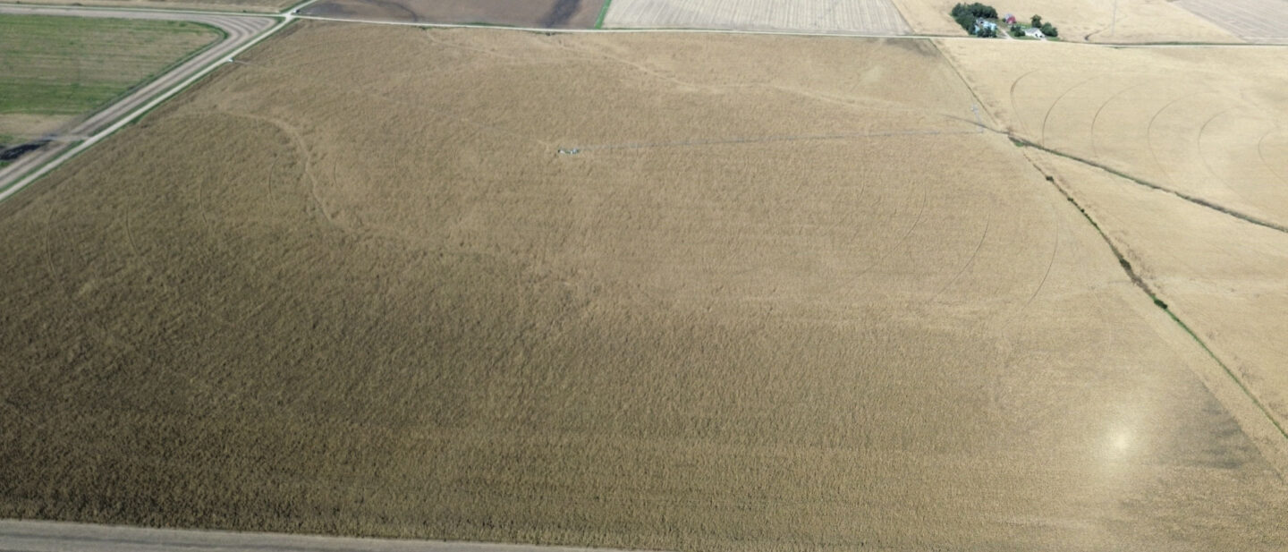 Dji fly 20261019 145702 750 1792439837600 photo optimized