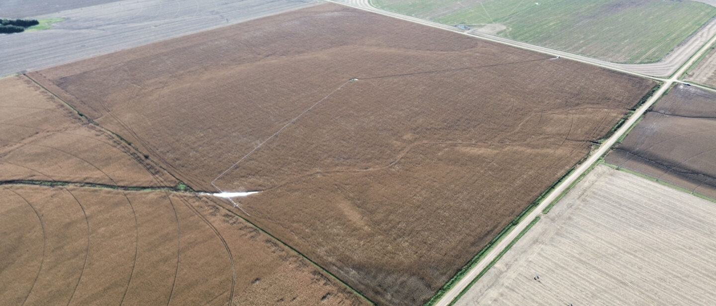 Dji fly 20261019 150032 753 1792440053545 photo optimized