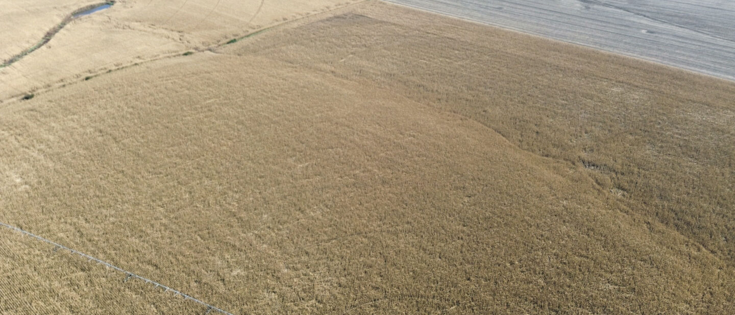 Dji fly 20261019 150354 755 1792440267844 photo optimized